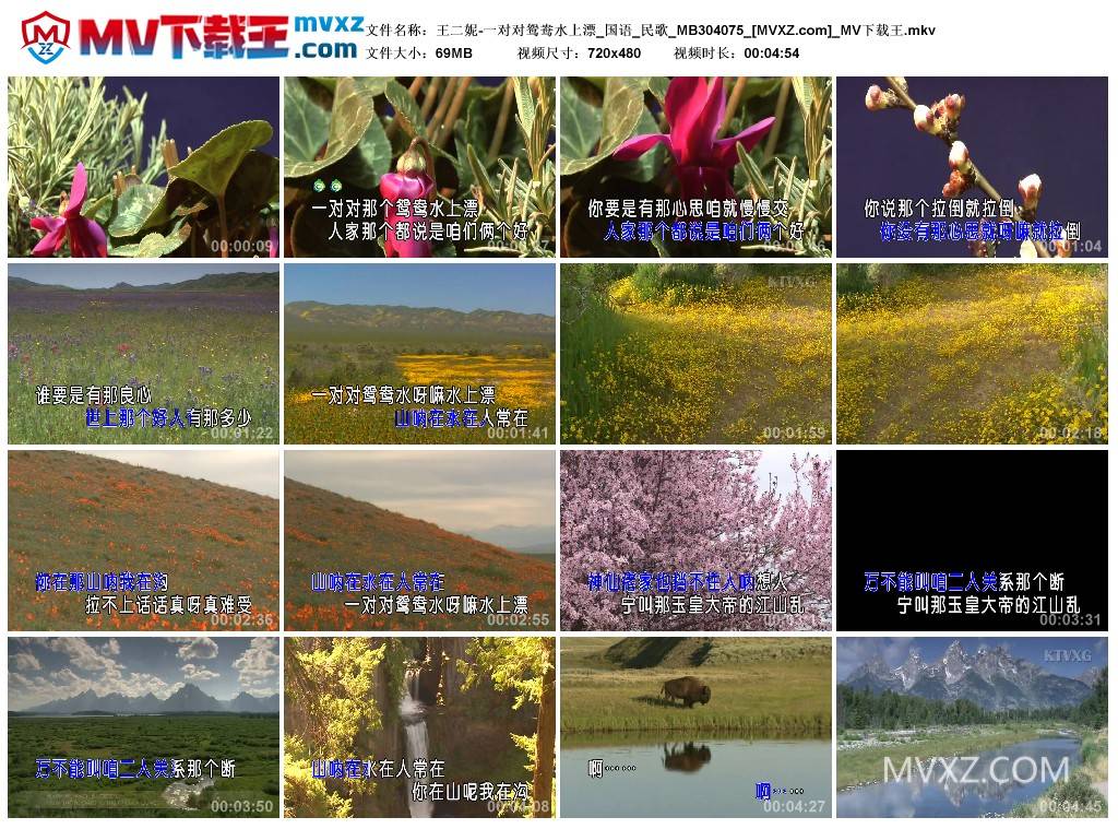 王二妮-一对对鸳鸯水上漂_国语_民歌_MB304075